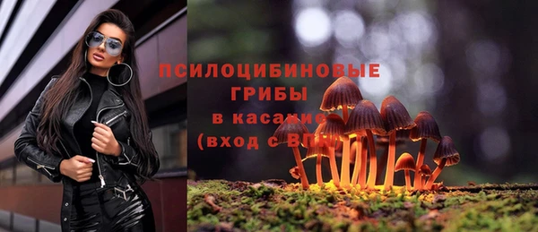 MDMA Белокуриха
